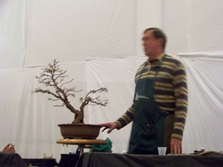 GSBS Annual Bonsai Show 2010 exhibit #10, Great Swamp Bonsai Society Roseland New Jersey